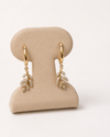 14K Gold Nature-Inspired Drop Earrings with CZ